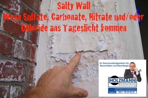 Bauschaedigende-Salze-Salzausbluehungen-Sulfate-Carbonate-Nitrate-Chloride-Baugutachter-Bausachverstaendiger