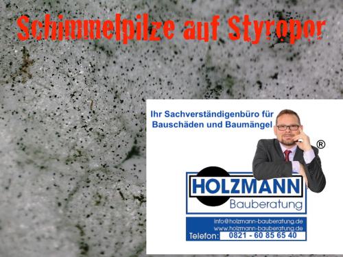 Schimmel-Styropor-Polystyrol-Holzmann